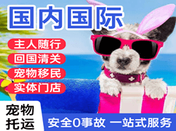 徐州观音机场货运国际宠物托运 【国